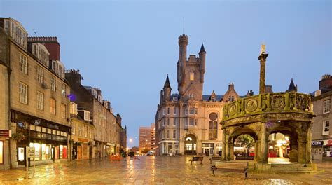  El Museo de la Vida en Aberdeen: Un viaje fascinante a través de los ecosistemas del mundo!