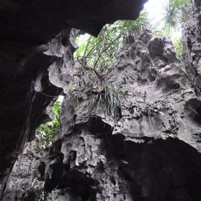 ¡El Misterioso Bosque de Piedras en Chongzuo te Transportará a Otro Mundo!