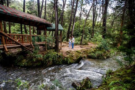 ¡Sumérgete en la Historia y la Naturaleza en el Parque Arví! Un Oasis Verde en las Alturas de Medellín.