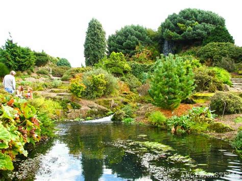   ¡El Jardín Botánico de Inverleith: Un Oasis Verde y Hermoso en Edimburgo!